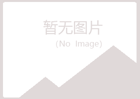 日照岚山又晴音乐有限公司